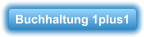 Buchhaltung 1plus1